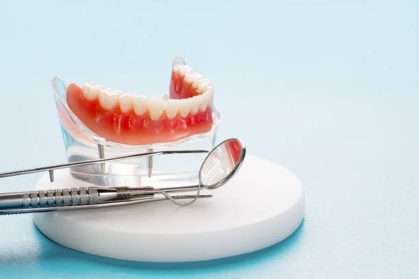 Professional Dental Services in Niverville, NY